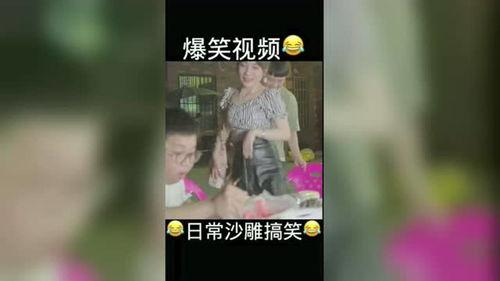 好笑的视频,笑点满满!盘点那些让人捧腹大笑的短视频