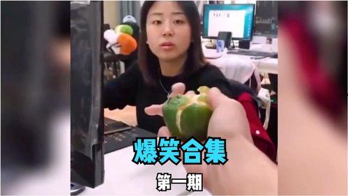 好笑的视频,笑点满满!盘点那些让人捧腹大笑的短视频