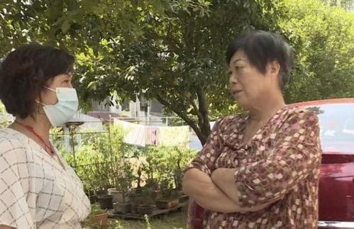 李玉兰哭灵视频,李玉兰哭灵视频引发网友热议