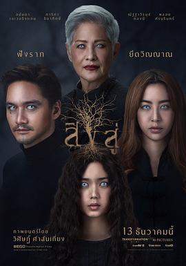 一级真人视频免费播放